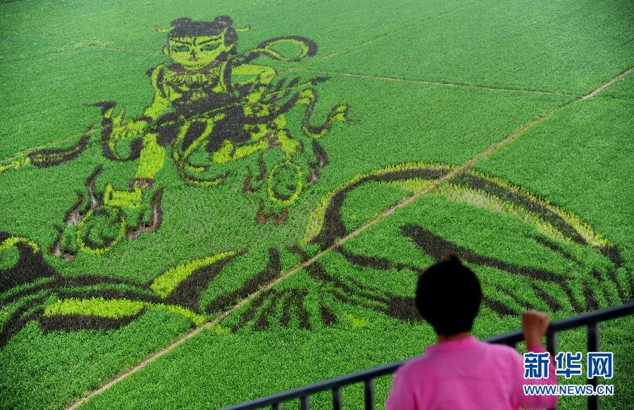 71գһλ^p顶߸[ľ͵ﮋ